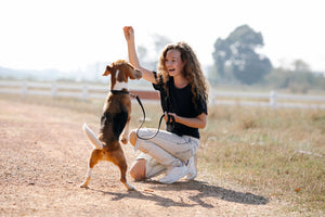 Unlocking Effective Dog Training: The One Word You Should Avoid and More