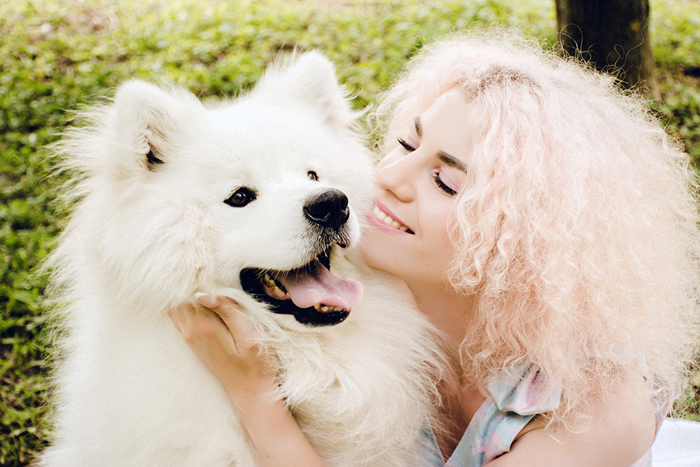 Five of the furriest dog breeds and how to groom them