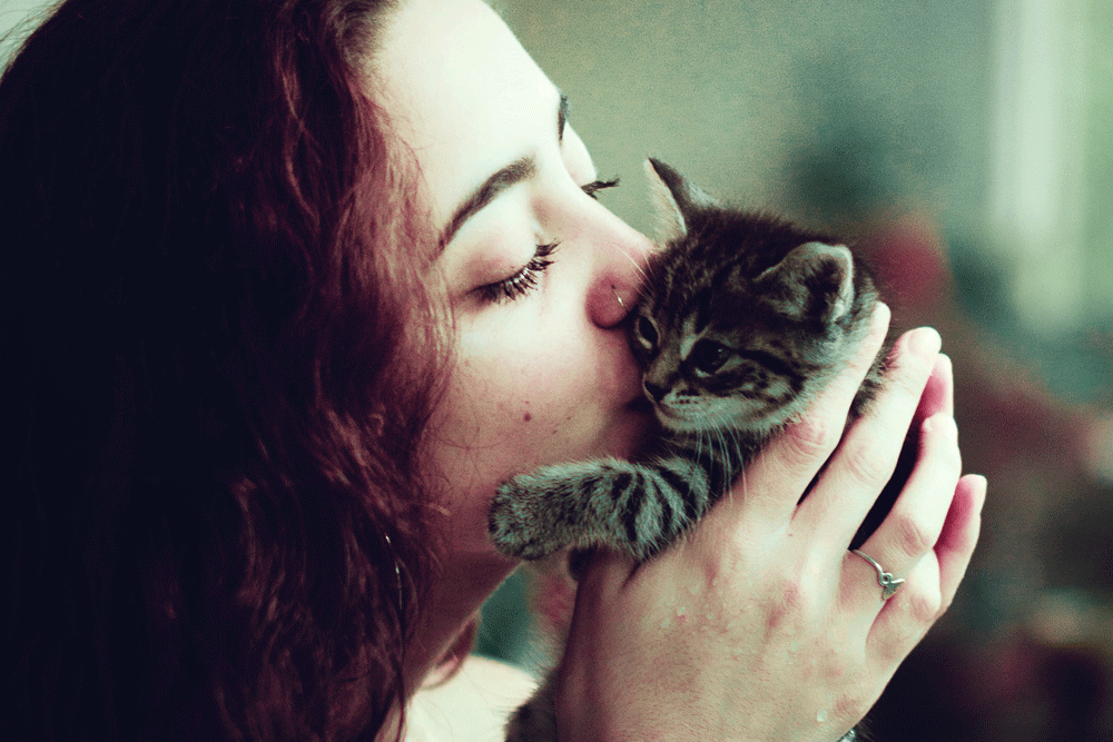 RSPCA Urges us to Adopt, Don't Shop this 'Adoptober'