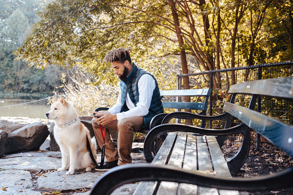 What to look out for in Autumn with your dog