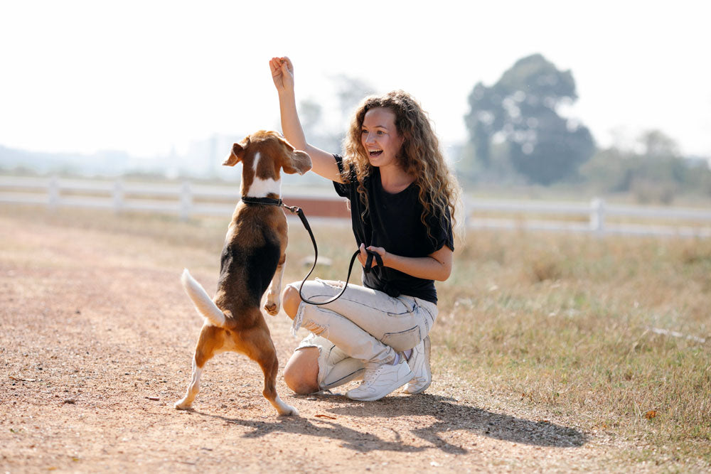 Unlocking Effective Dog Training: The One Word You Should Avoid and More