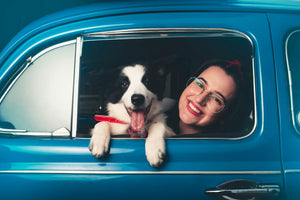 Is it really OK to let your dog hang out of your car window?