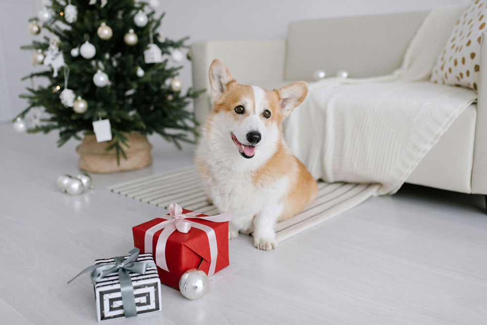 Gift Ideas from Gravitis Pet Supplies - Christmas 2023