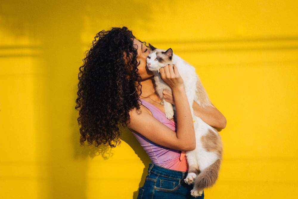 Cool for cats – How to care for your kitty in hot weather