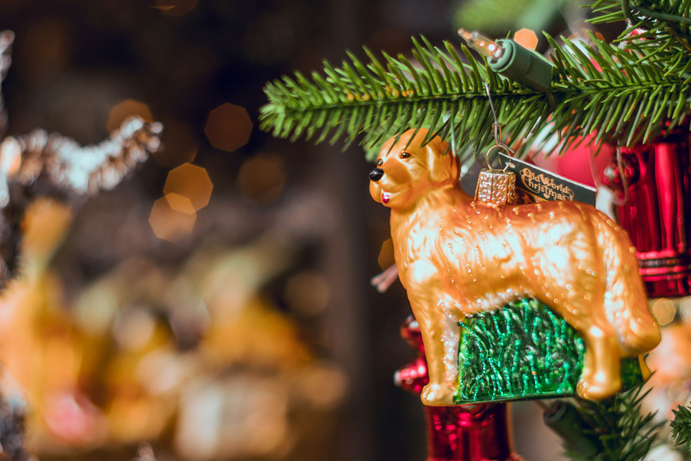 Christmas Gift Ideas from Gravitis Pet Supplies – Big Presents