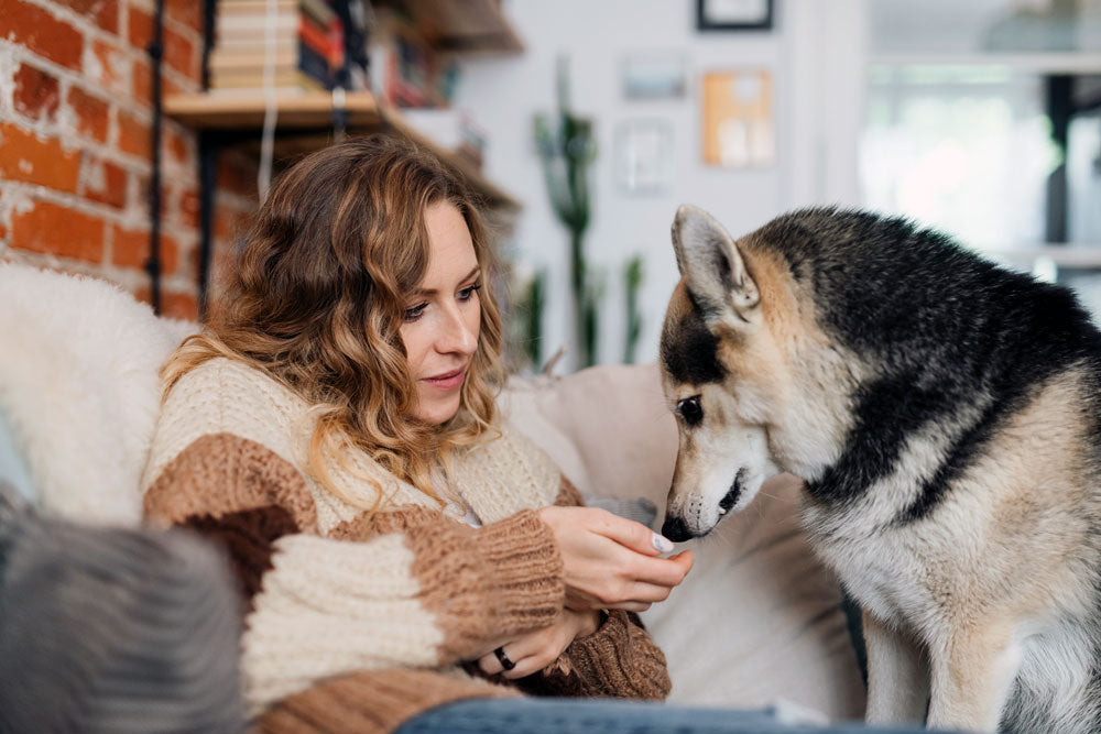 Grow your own? Alternative and healthy dog treats