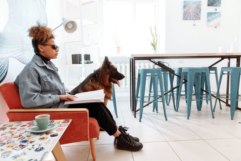 Is it time to start bringing your dog to work?