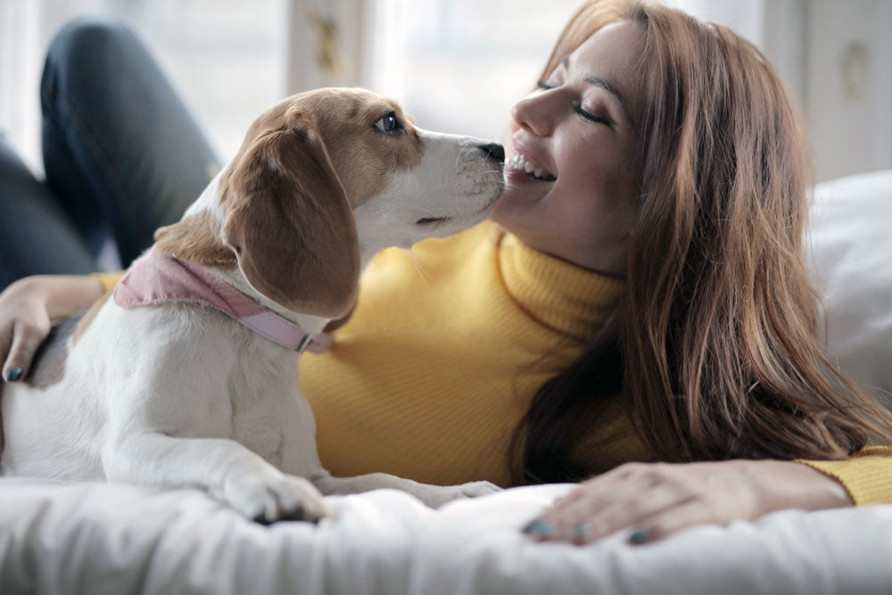 Why does your dog keep eyeballing you?