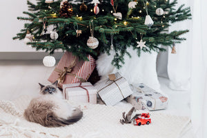 Keeping your pets safe and happy at Christmas – Part Two