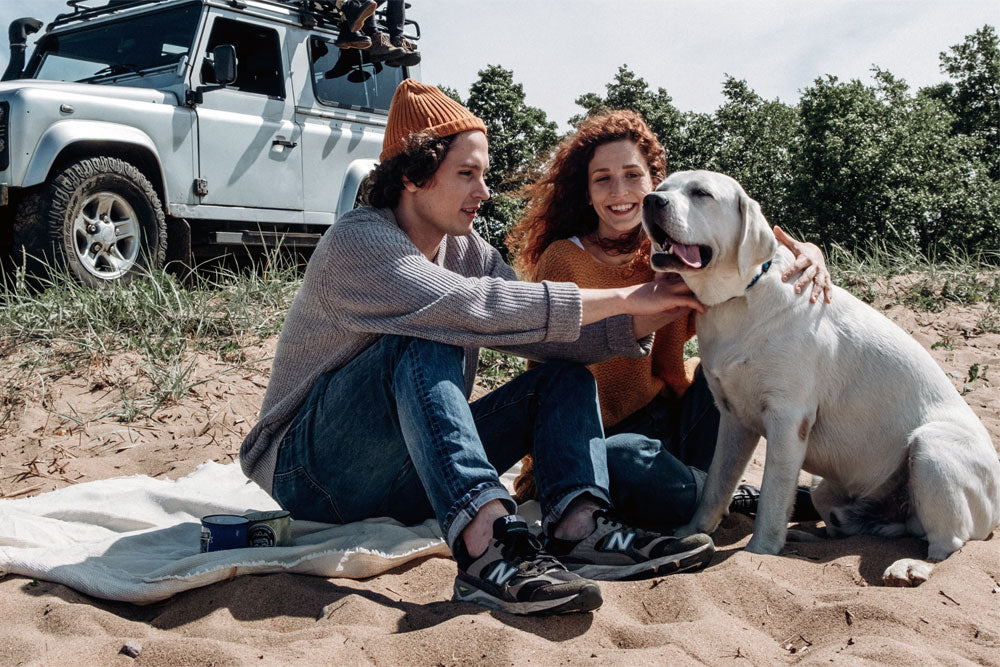 Popular pedigree dog breeds - is your pup top of the list?