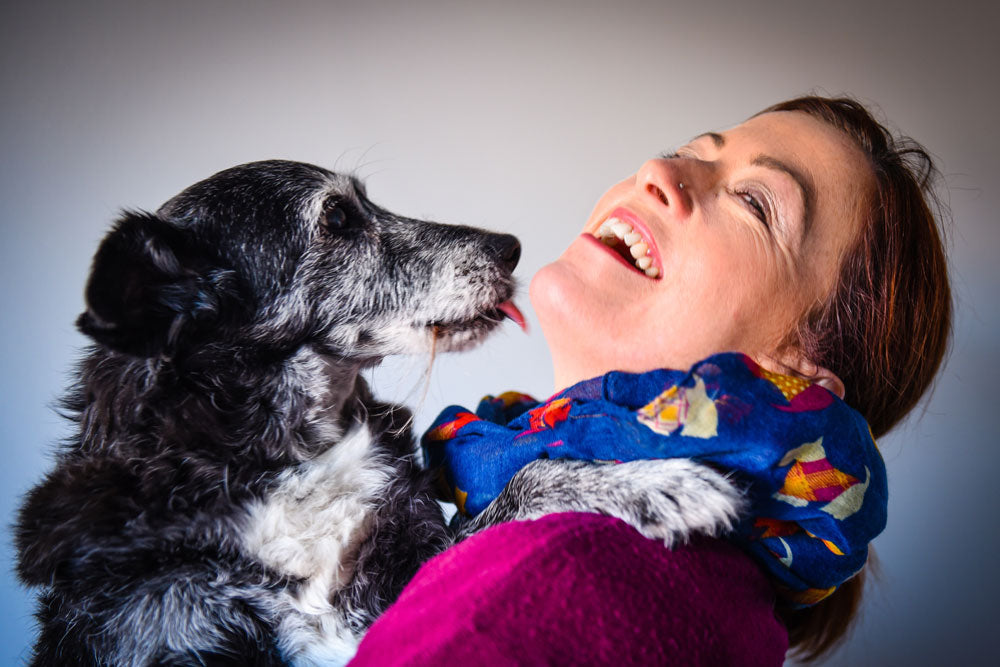 What is the '3-3-3 rule' for rescue dogs?