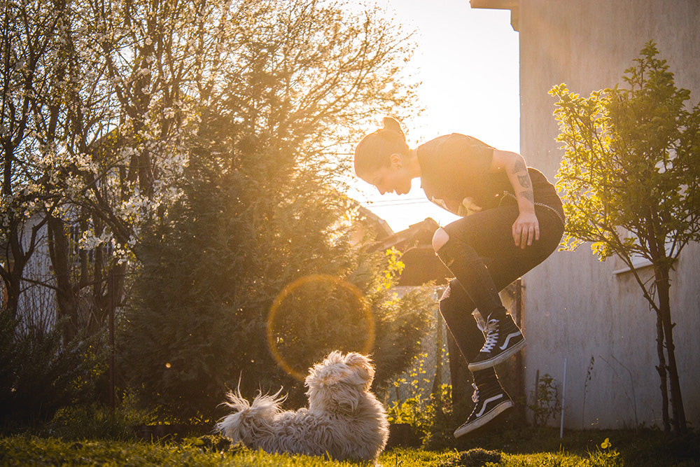 Making an obstacle course for your pet