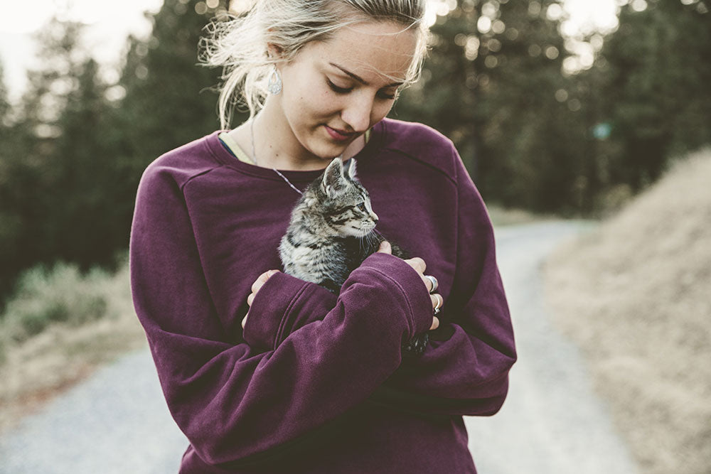 Healthy Smiles in Pet Dental Health Month