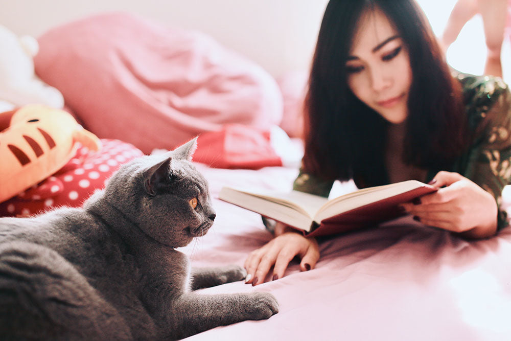 Coping with Change – How to help your cat prepare for the end of lockdown