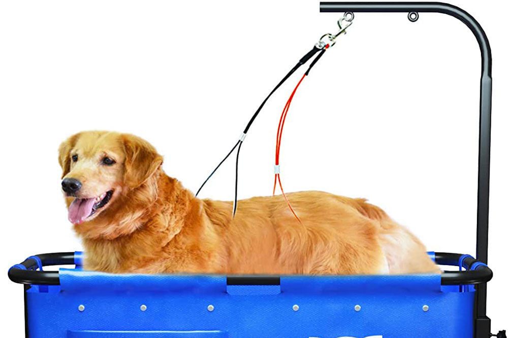 Our brand new product for 2022: A Portable 40” Pet Grooming Bath