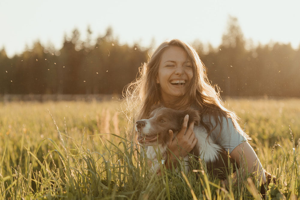 Who’s up for a cuddle? Most and least affectionate dog breeds