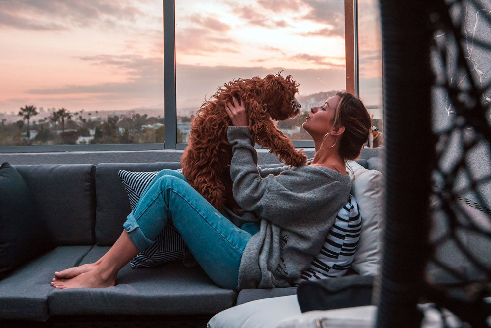 How to help your dog during a summer thunderstorm