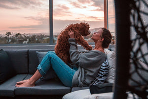 How to help your dog during a summer thunderstorm