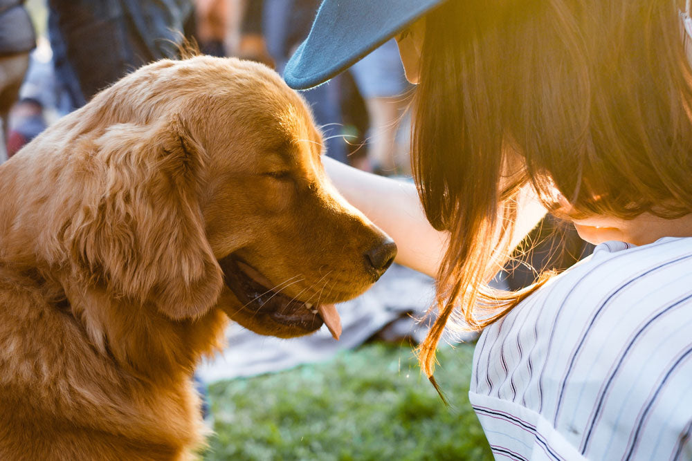Sustainable pet ownership: 7 tips for reducing your carbon pawprint