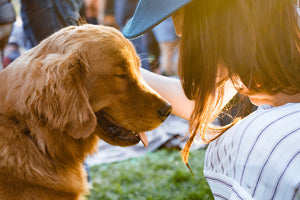 Sustainable pet ownership: 7 tips for reducing your carbon pawprint