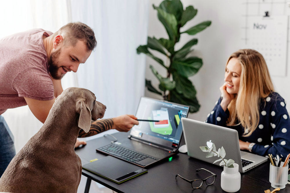 Bring your dog to work day: are pets in the workplace a good idea?