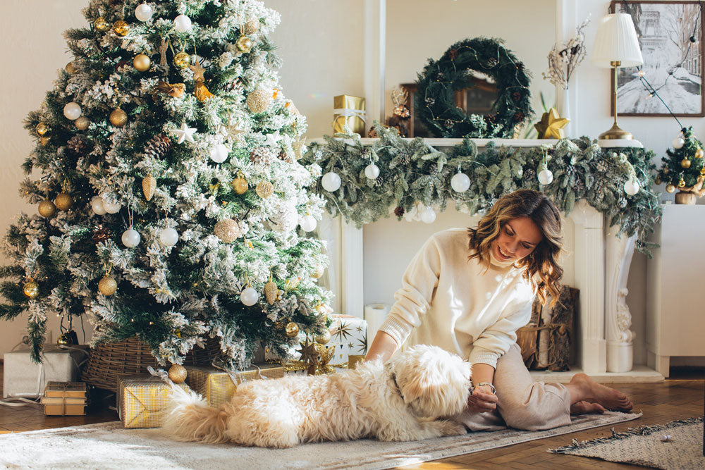 Keeping your pets safe and happy at Christmas – Part One