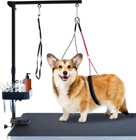Corgi on a grooming table with folding arm, padded loops and tool organiser.
