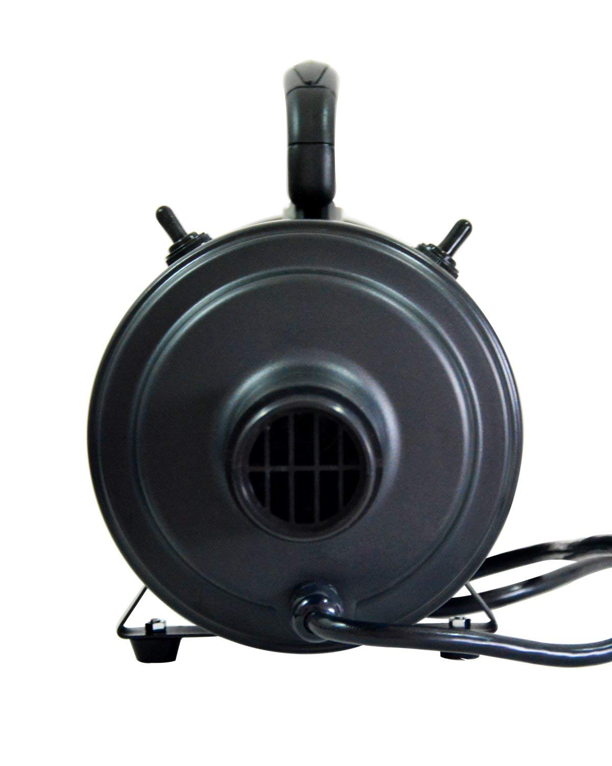 Front view of the double-motor dog dryer's air outlet.