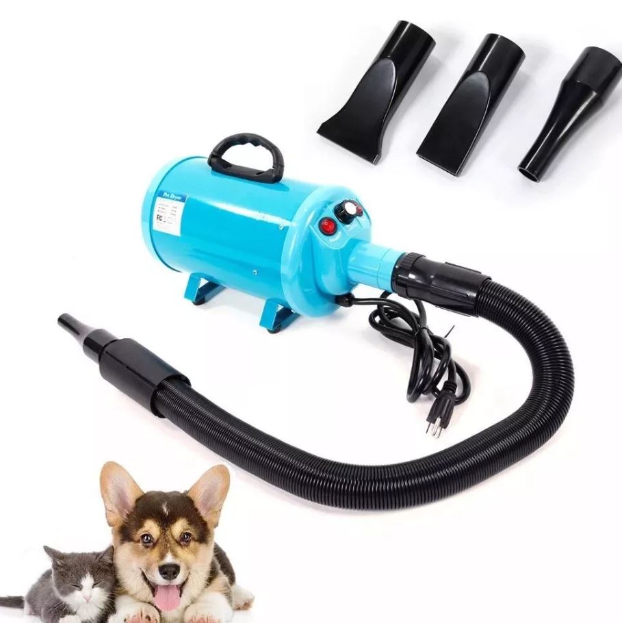 Turquoise dog dryer with hose and nozzle attachments, shown alongside a puppy and cat.