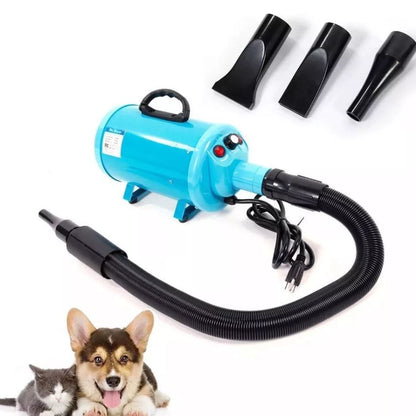 Turquoise dog dryer with hose and nozzle attachments, shown alongside a puppy and cat.