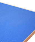 Professional Dog Grooming Table