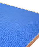 Professional Dog Grooming Table