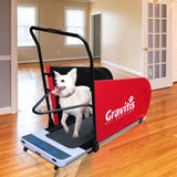 Dual Purpose Electric Treadmill For Dogs AND Humans. Dog training motorized running machine for pets and people