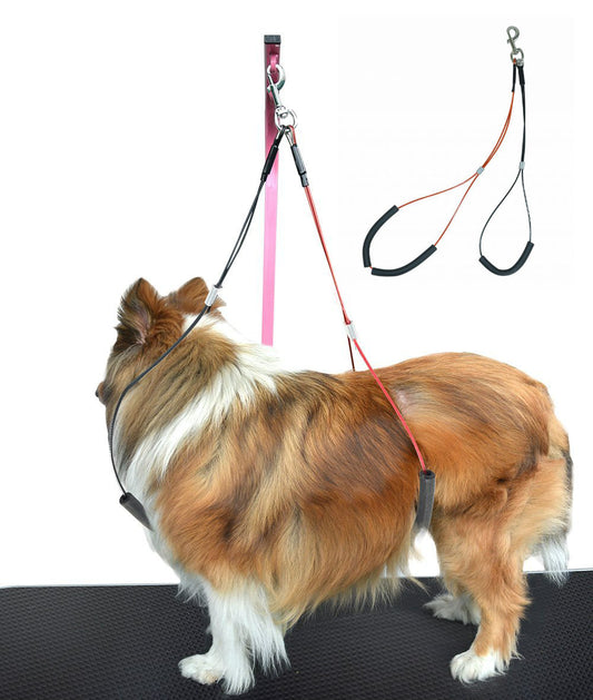 Neck and haunch grooming loops supporting a dog standing on a grooming table.