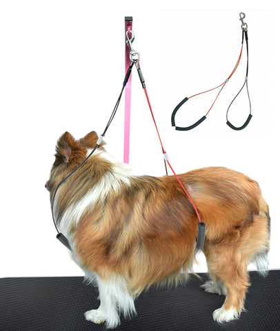 Dog Grooming Loop Set - Neck and Haunch Holder for use with Dog Grooming Table