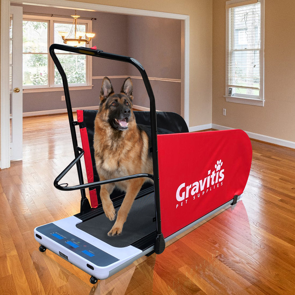 Dual Purpose Dog & Human Electric Treadmill