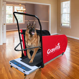 Dual Purpose Electric Treadmill For Dogs AND Humans. Dog training motorized running machine for pets and people