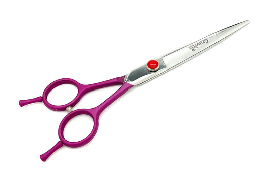 Straight dog grooming scissors with purple handles and red adjustment screw.