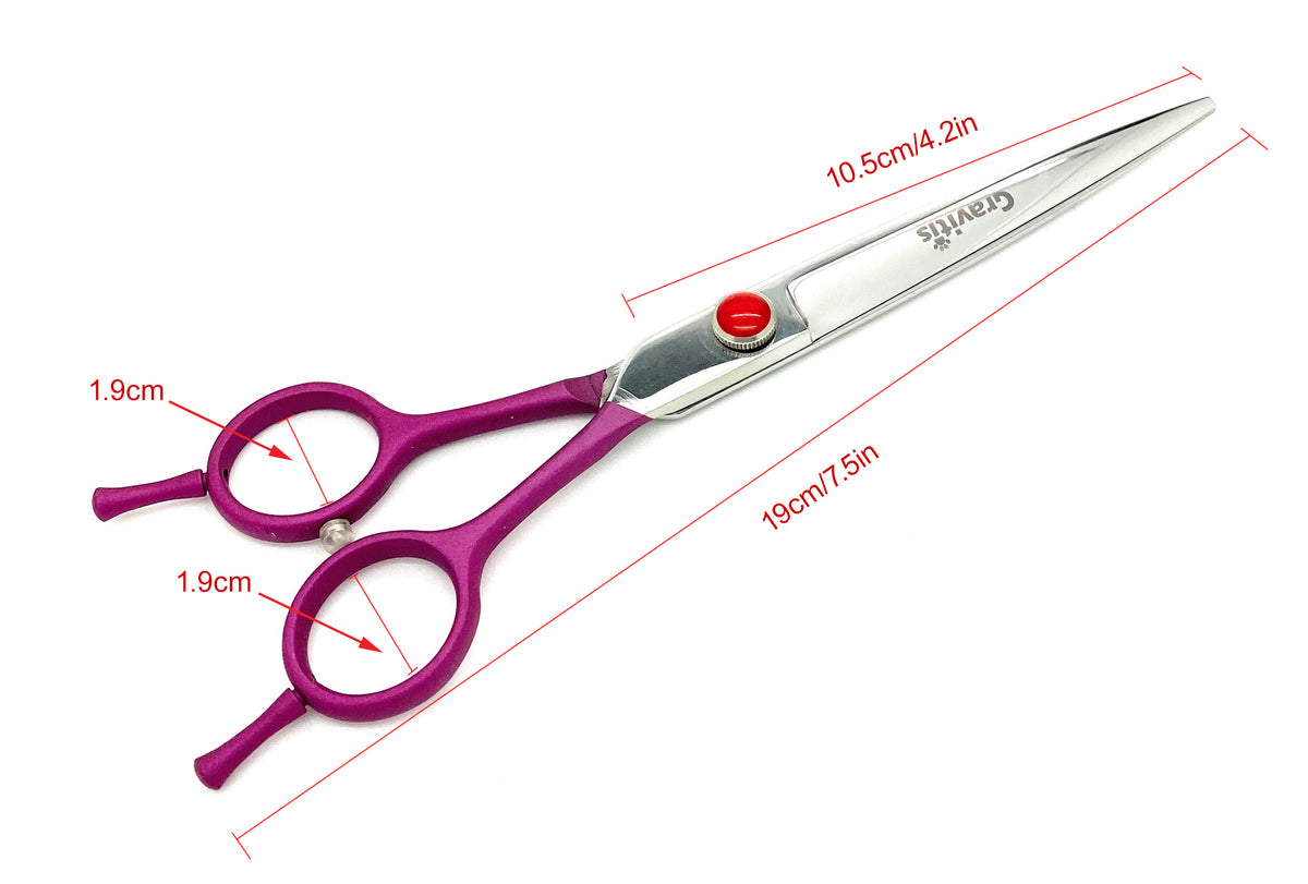 Purple-handled straight scissors diagram showing 19 cm overall length and 10.5 cm blades.