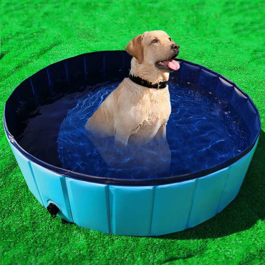 Dog sitting in a blue pet paddling pool on grass.