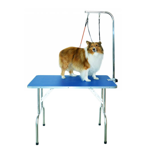 Blue folding dog grooming table with overhead arm and grooming loops, shown with a dog.