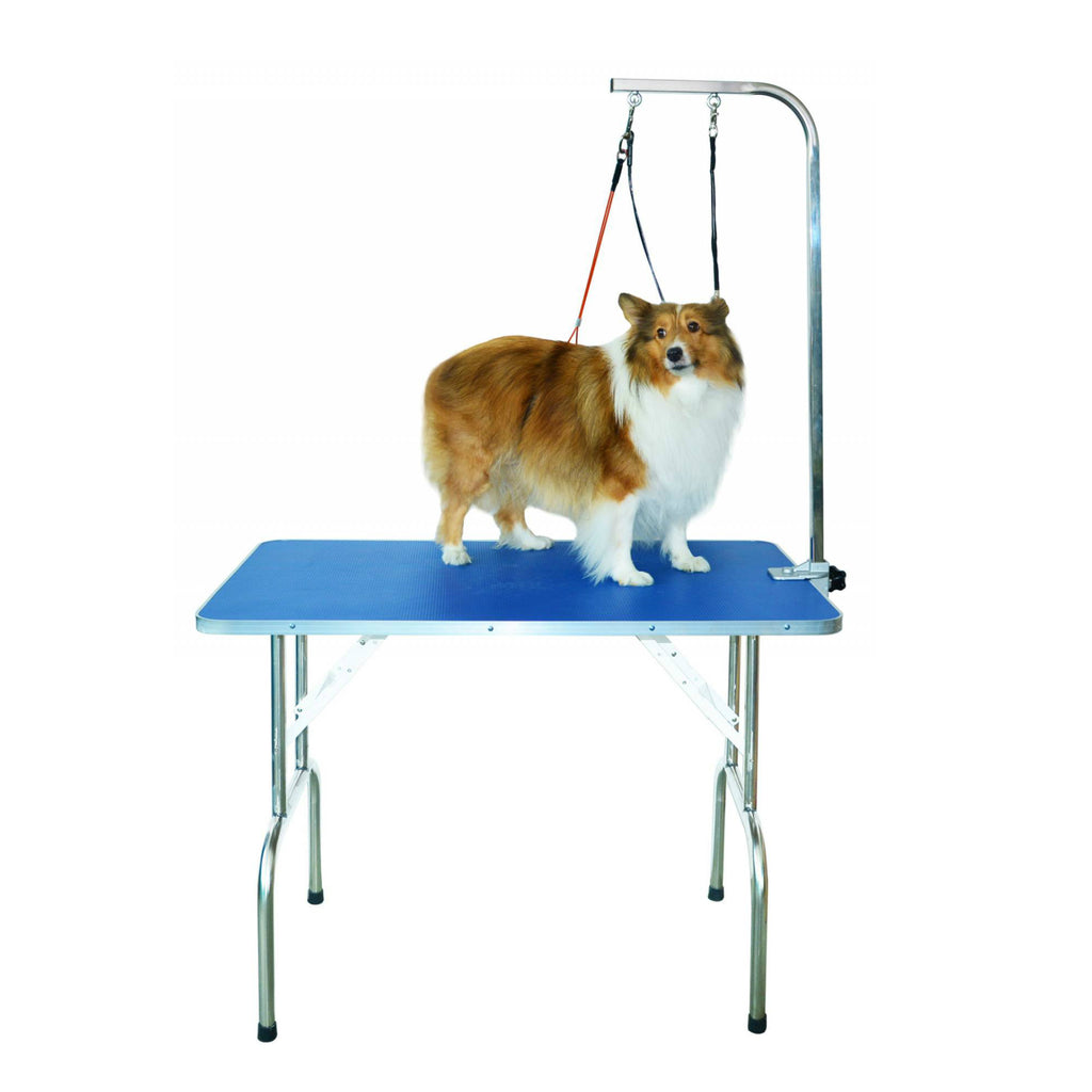 Used dog grooming table clearance