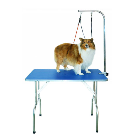 Professional Dog Grooming Table