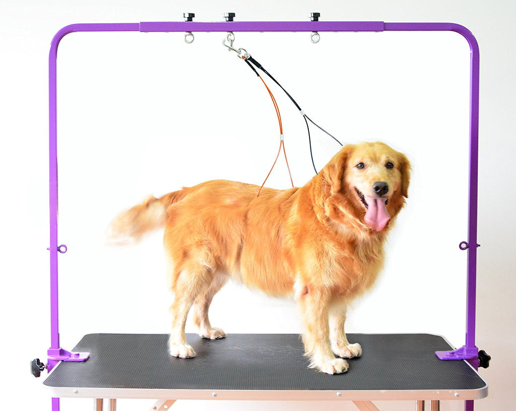 Overhead pet grooming best sale arm