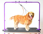Overhead Pet Grooming Arm with Clamps and Harness – Suitable for use with most Tables