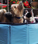 Gravitis Pet Supplies Dog Paddling Pool. Folding Rigid Panel Pet Pool