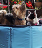 Gravitis Pet Supplies Dog Paddling Pool. Folding Rigid Panel Pet Pool