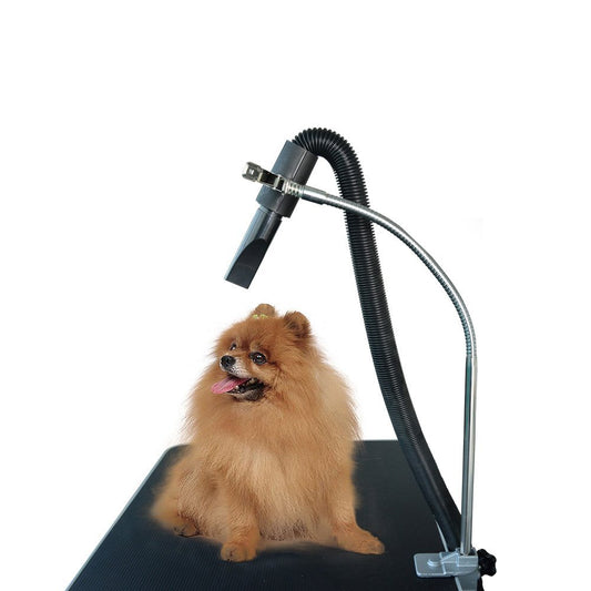 Flexible dryer hose holder keeping the nozzle above a small dog on a grooming table.