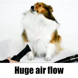 Long-haired dog being dried with a blaster nozzle, demonstrating airflow through the coat.