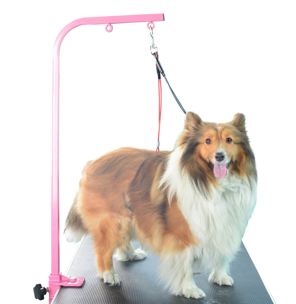 Pets Loop Dog Grooming Loop Set - Neck and Haunch Holder for use with Dog Groomi ...